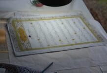 Sosyo-Ekonomik Yapı