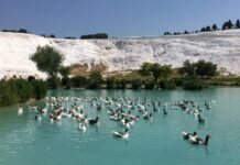 Fatih Sultan Mehmed’in İmparatorluk Mirası